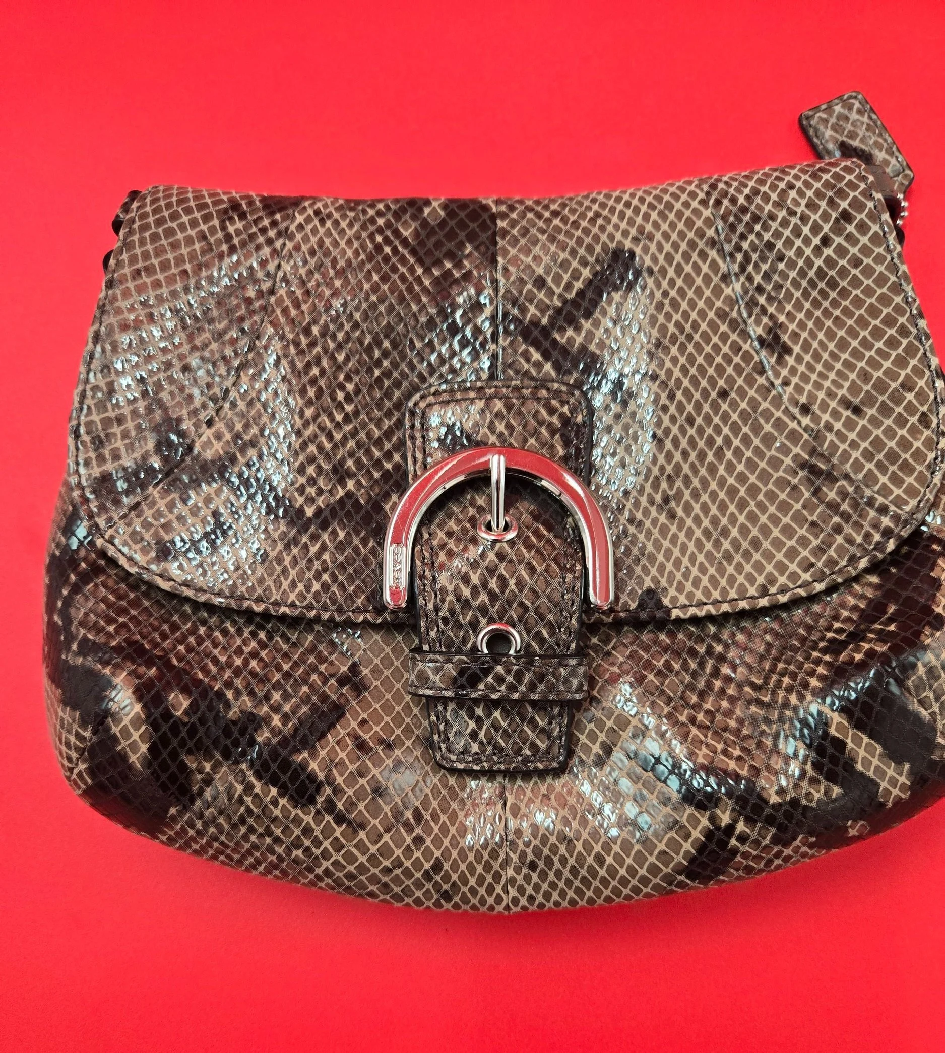 COACH SNAKESKIN LEATHER BUCKLE CROSSBODY BAG Pre-Loved - Image 2